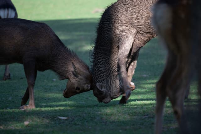 你们住头，不要再打啦~