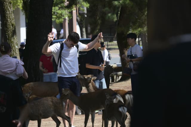 没有了，斯密马赛🤗