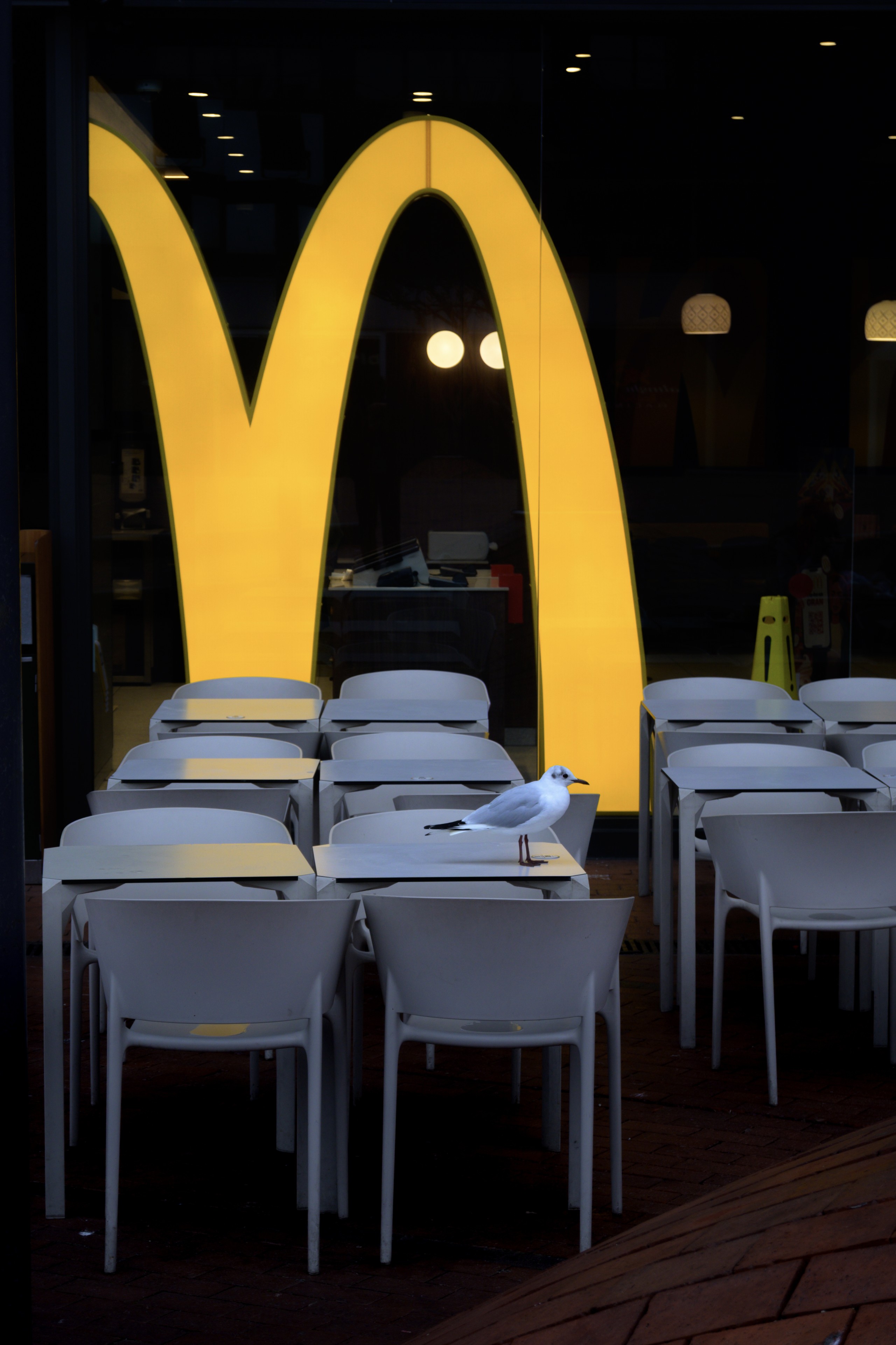 人生就是去M记整点薯条